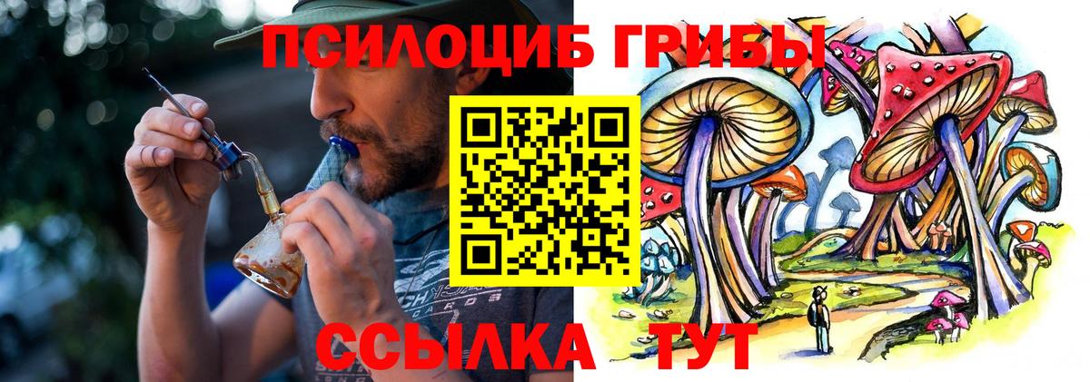 Псилоцибиновые грибы Magic Shrooms  Вход с VPN  купить наркоту  Черногорск  Галлюциногенные грибы Magic Shrooms 