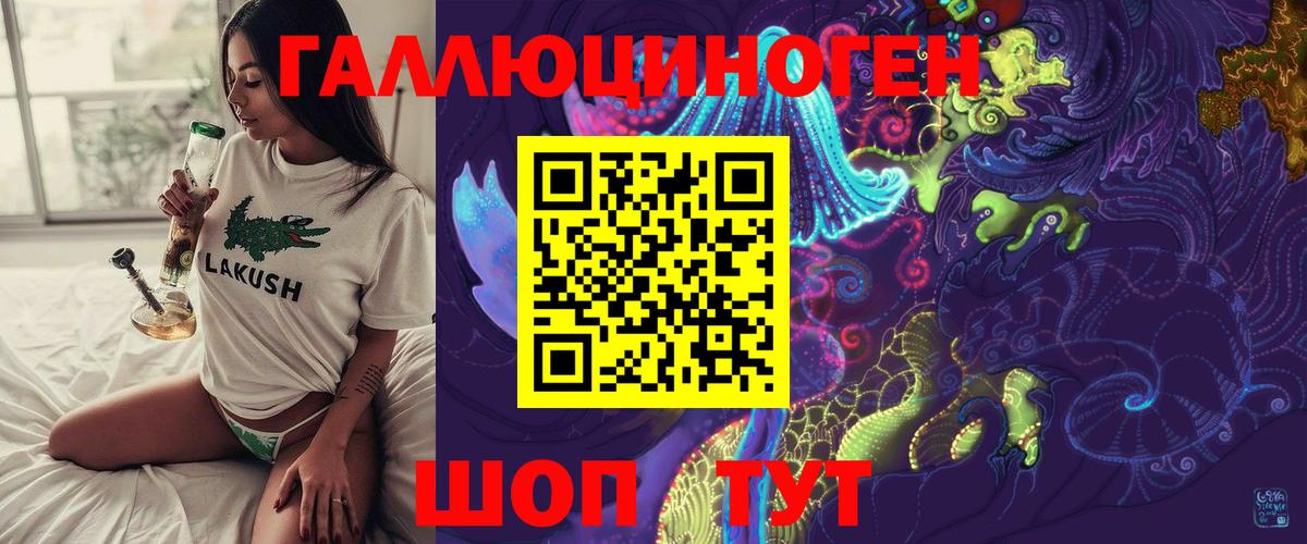 Псилоцибиновые грибы Cubensis Черногорск